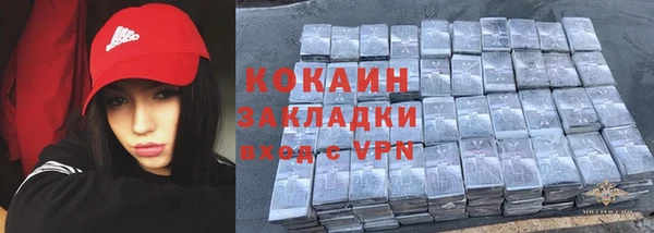 индика Вязники