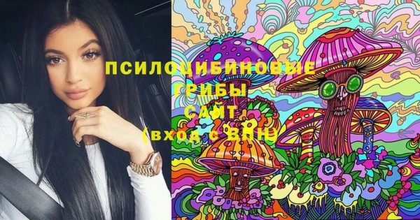 индика Вязники