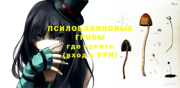 мяу мяу мука Вязьма