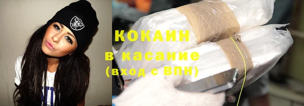 индика Вязники