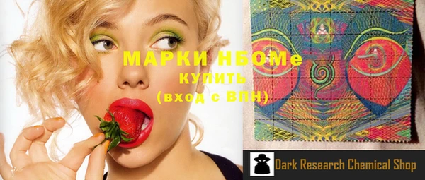 индика Вязники