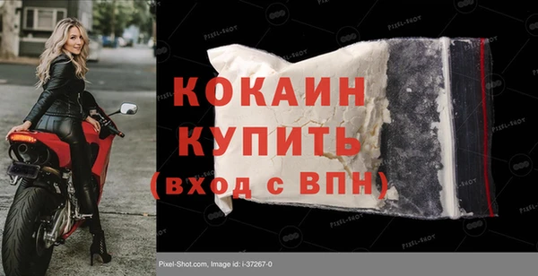 индика Вязники