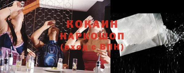 индика Вязники